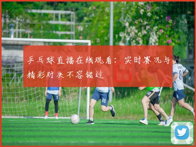 乒乓球直播在线观看：实时赛况与精彩对决不容错过